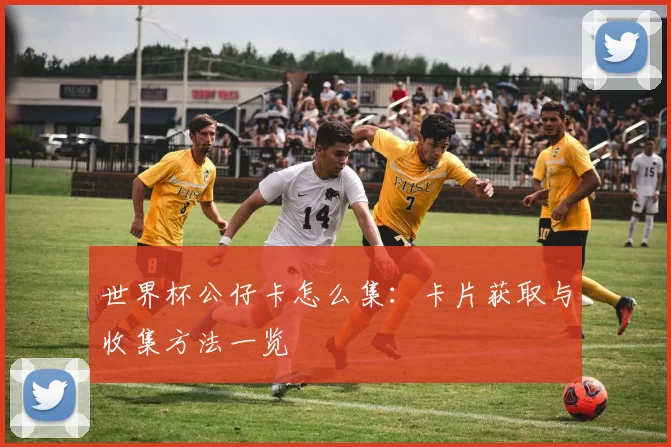 世界杯公仔卡怎么集：卡片获取与收集方法一览