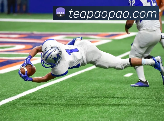 世界杯app官网服务体系