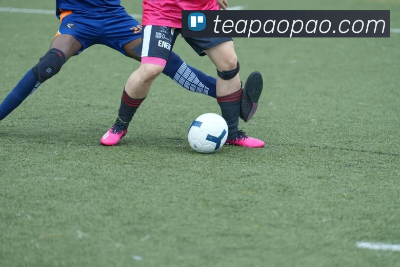 多媒体互动体验